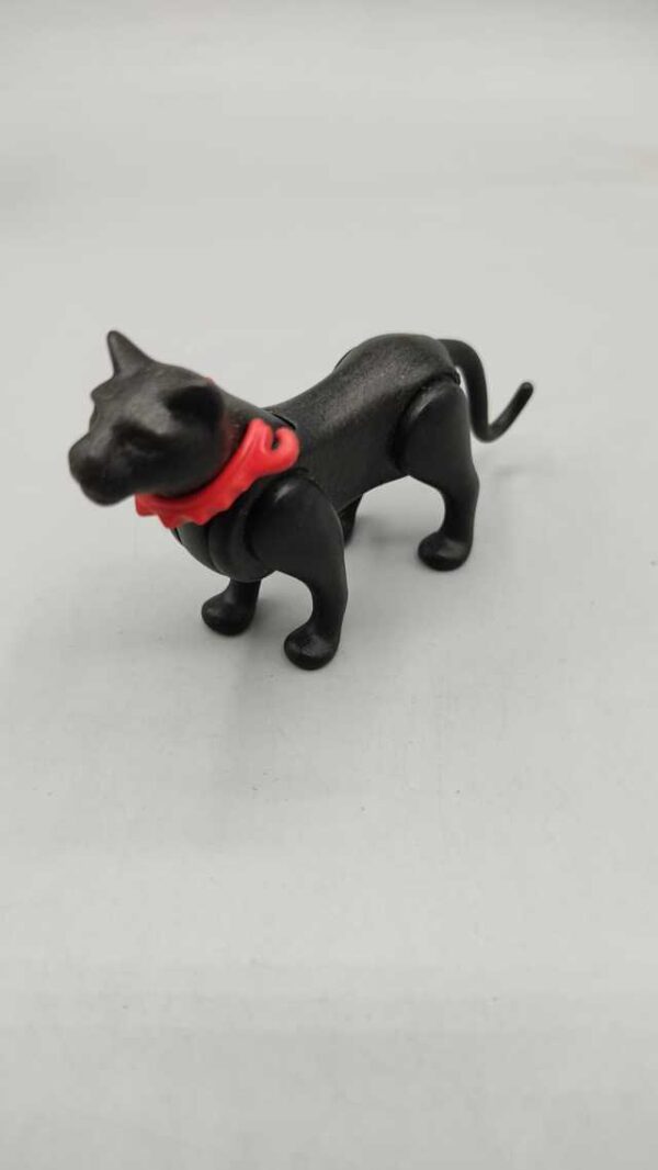 Pantera negra con collar