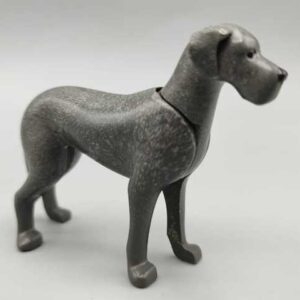 Perro