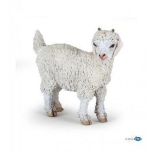 CABRA DE ANGORA JOVEN