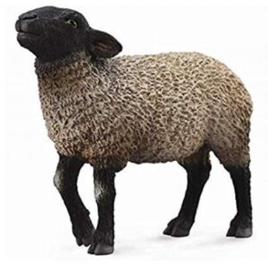 OVEJA SUFFOLK TIPO INGLES