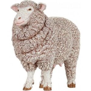OVEJA MERINO
