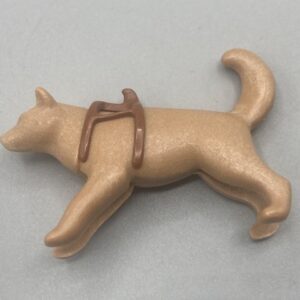 Perro con collar Polo norte