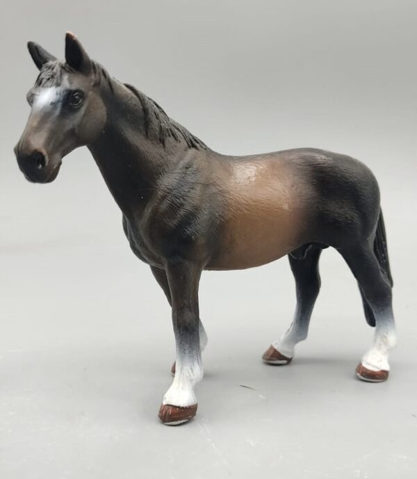 Caballo negro
