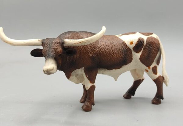 Toro tejano Longhorn