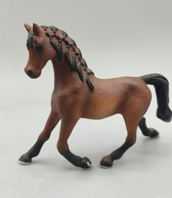 Caballo