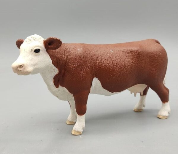 Vaca