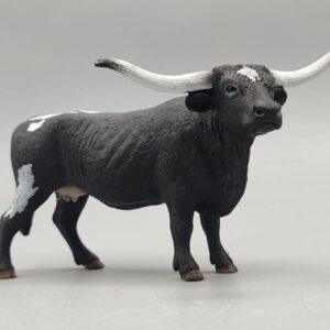 Vaca tejano Longhorn