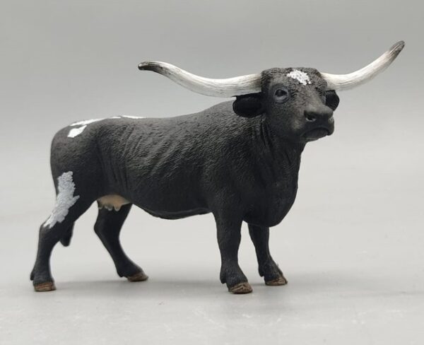 Vaca tejano Longhorn