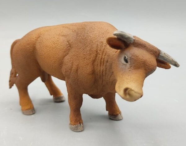 Novillo