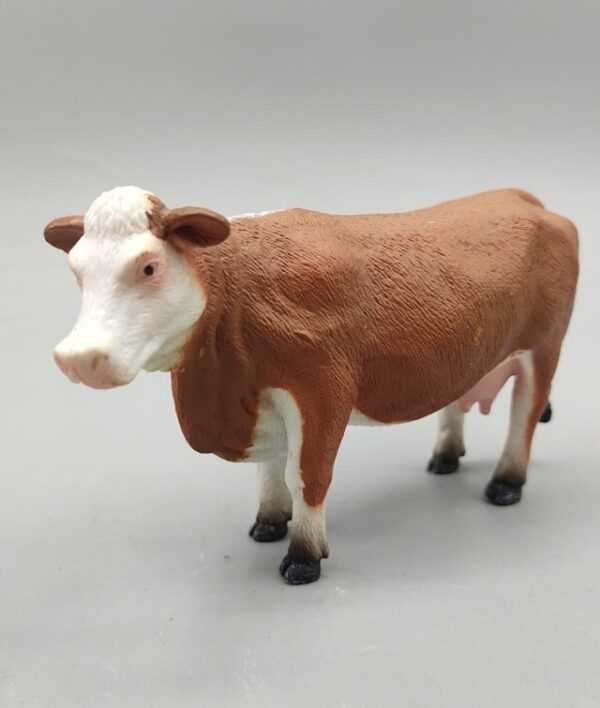 Vaca