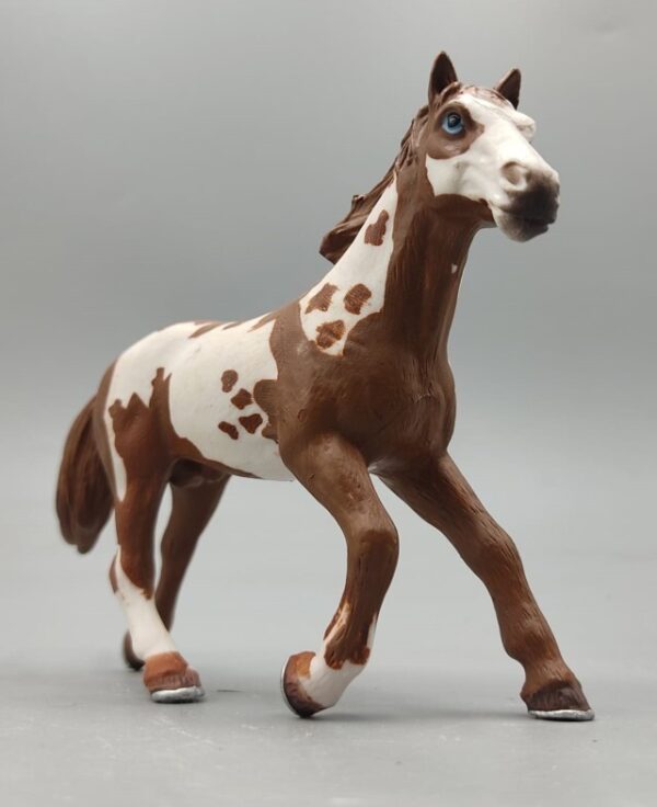 Caballo