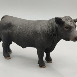 Toro