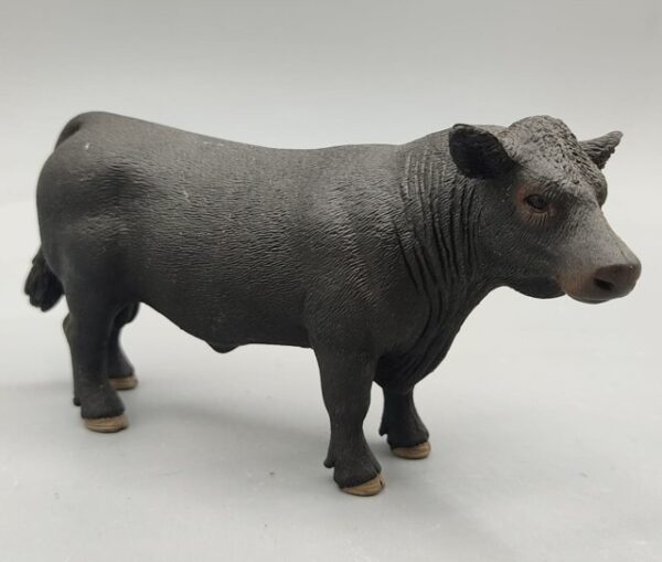 Toro