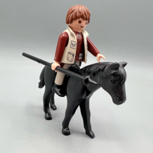 Picador a caballo