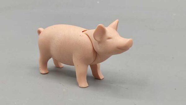 Cerdo