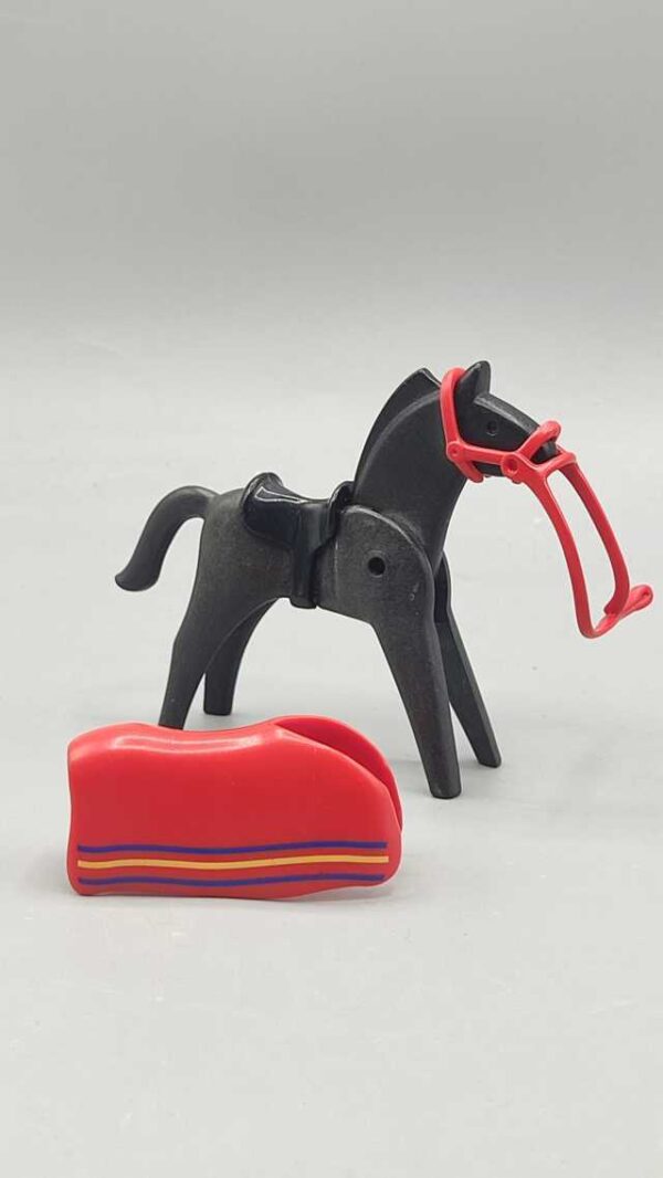 Caballo con manta
